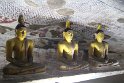 IMG_8144