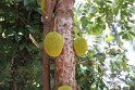 IMG_8155