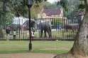 IMG_8183