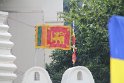 IMG_8184