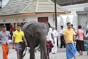 IMG_8186