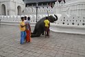 IMG_8188