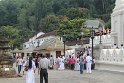 IMG_8189