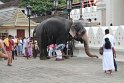 IMG_8190