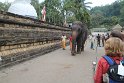 IMG_8192