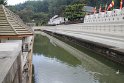 IMG_8195