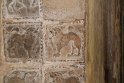 IMG_8223