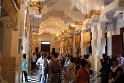 IMG_8232