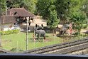 IMG_8239
