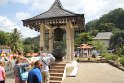 IMG_8242