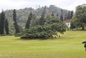 IMG_8258