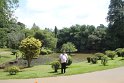 IMG_8261