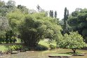 IMG_8262