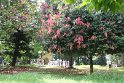 IMG_8264