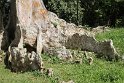 IMG_8281