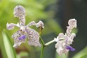 IMG_8290
