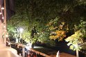 IMG_8312