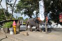 IMG_8385