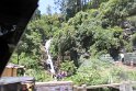 IMG_8409