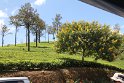 IMG_8413