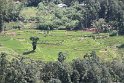 IMG_8427