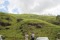 IMG_8431