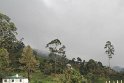 IMG_8434