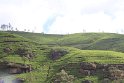 IMG_8435