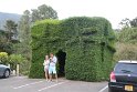 IMG_8460