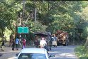 IMG_8490