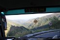 IMG_8493