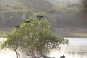 IMG_8519