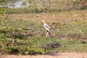 IMG_8522