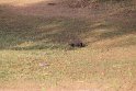 IMG_8523