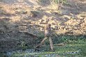 IMG_8526