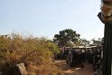 IMG_8530