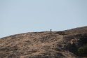IMG_8532