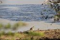 IMG_8534