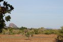IMG_8537