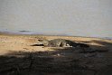 IMG_8540