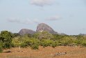 IMG_8541