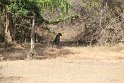 IMG_8549