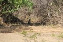 IMG_8551