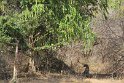 IMG_8552