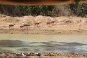 IMG_8560