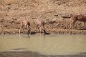 IMG_8561