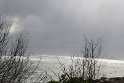 IMG_8619
