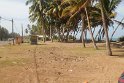 IMG_8696