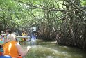 IMG_8711