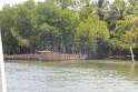 IMG_8716